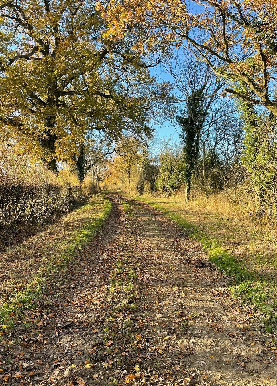 Bridleway to Evenlode